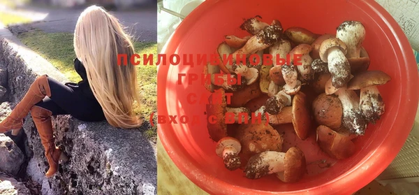 соль ск Абдулино
